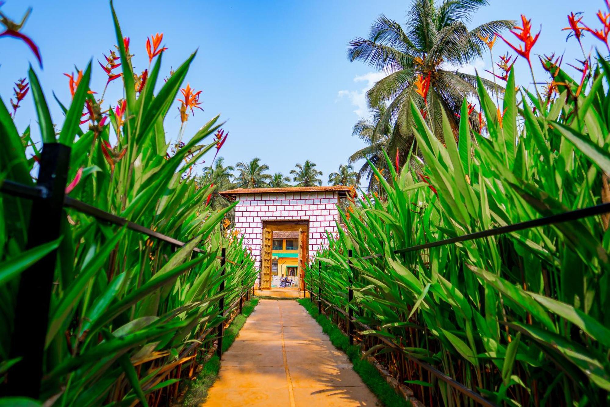 Orange Sky Beach Bungalow Agonda Exterior foto